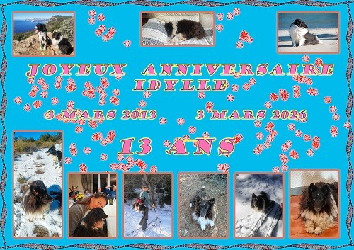 des Crocs de Provence - Joyeux Anniversaire