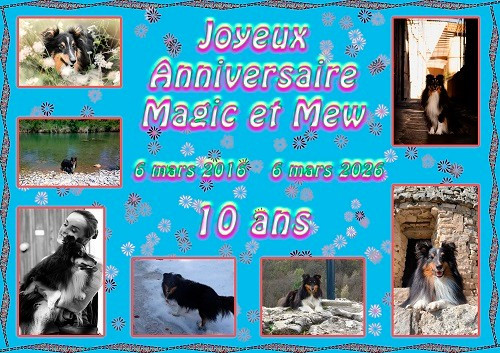 Joyeux Anniversaire