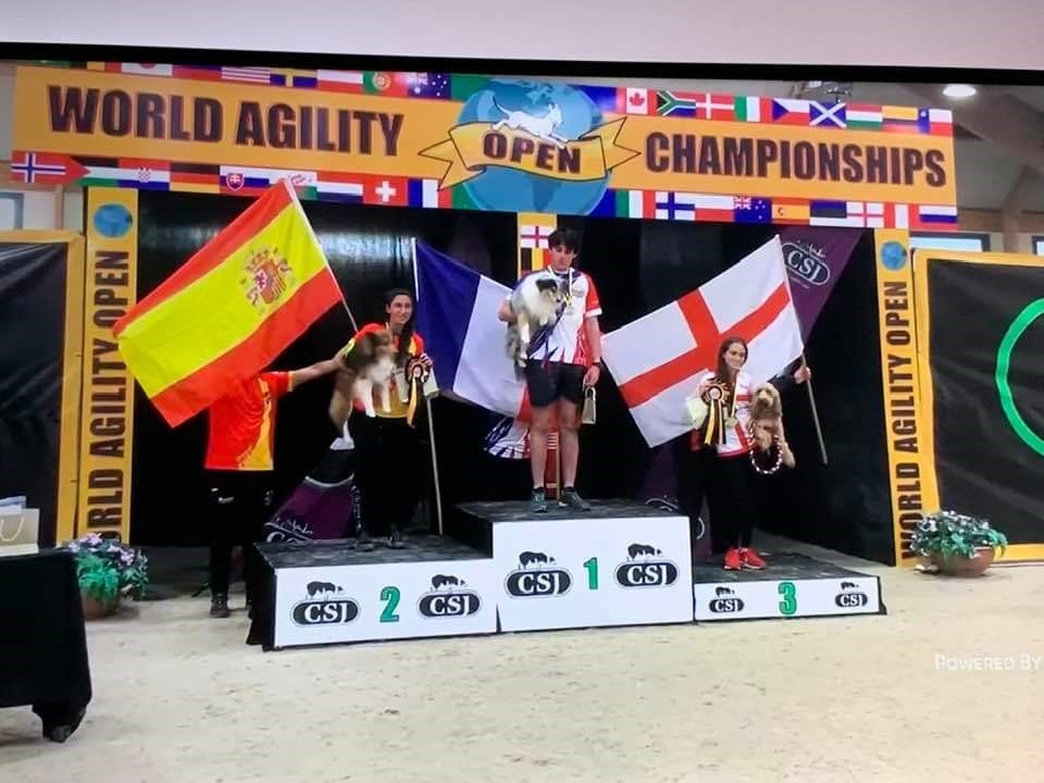 Retraite d'agility de Légolas Esprit Rebelle le Bleu du Grain de Soleil