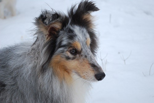 des Crocs de Provence - June est parti