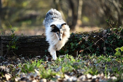 Shooting photo de Légolas pour sa retraite