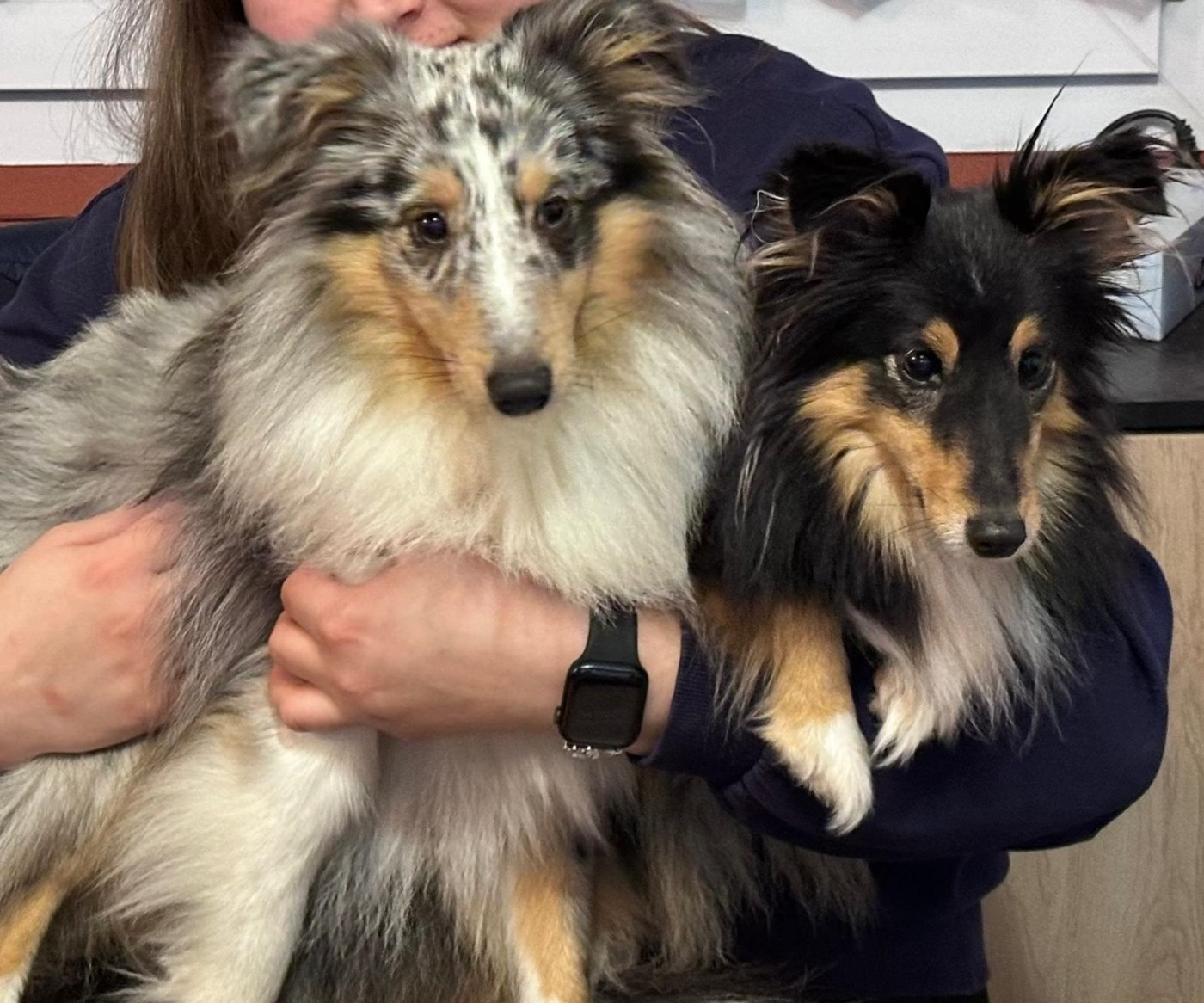 des Crocs de Provence - Tempête Nébulaire Brune des Crocs de Provence dite Tia
