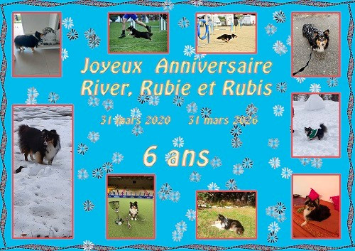 des Crocs de Provence - Joyeux Anniversaire