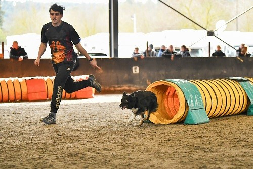 des Crocs de Provence - Concours d'agility des Cadeou