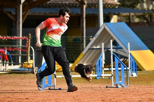 des Crocs de Provence - Championnat Régional d'agility des Bergers des Shetland 2026