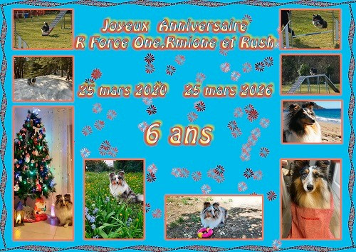 des Crocs de Provence - Joyeux Anniversaire