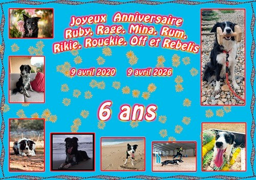 des Crocs de Provence - Joyeux Anniversaire