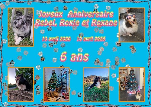 des Crocs de Provence - Joyeux Anniversaire