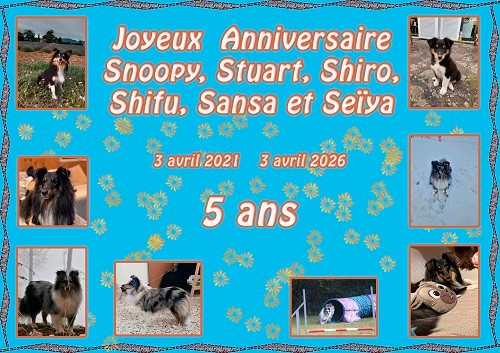 des Crocs de Provence - Joyeux Anniversaire