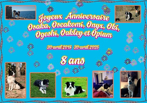 des Crocs de Provence - Joyeux Anniversaire