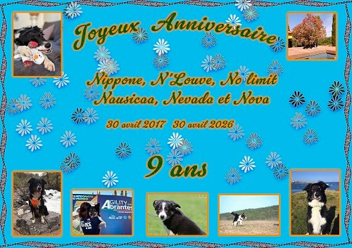 Joyeux Anniversaire
