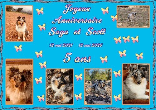 des Crocs de Provence - Joyeux Anniversaire