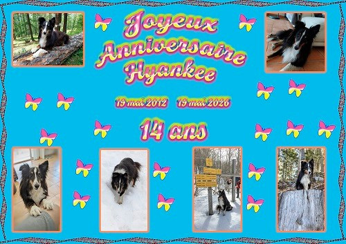 des Crocs de Provence - Joyeux Anniversaire