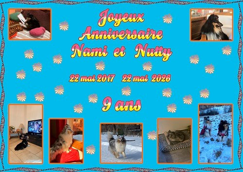 Joyeux Anniversaire