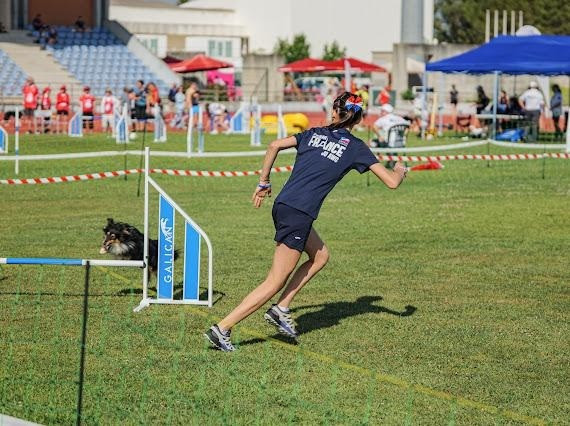 Tourbillon de Pégase Brun des Crocs de Provence dit Taz Vice-Champion de France