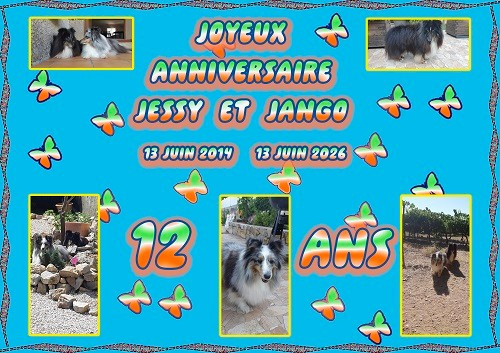 des Crocs de Provence - Joyeux Anniversaire
