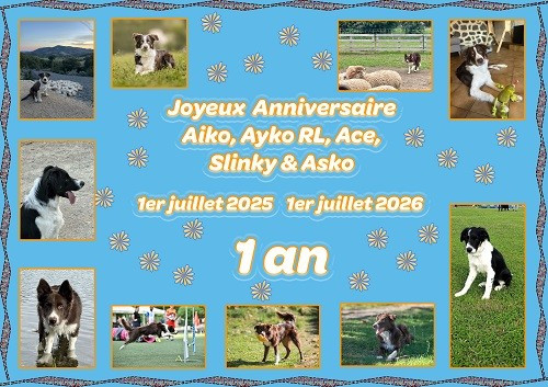 des Crocs de Provence - Joyeux Anniversaire