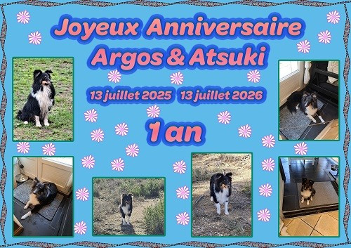 Joyeux Anniversaire