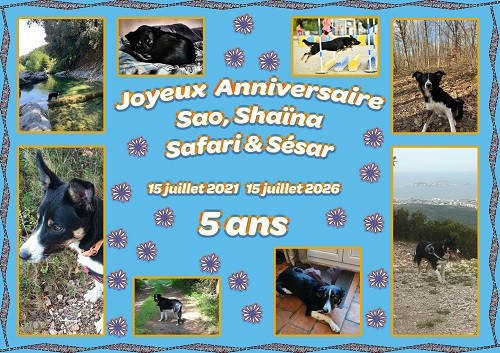 Joyeux Anniversaire