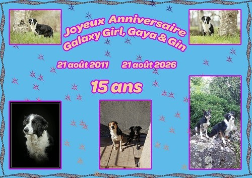 Joyeux Anniversaire