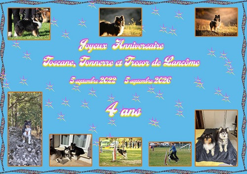 Joyeux Anniversaire