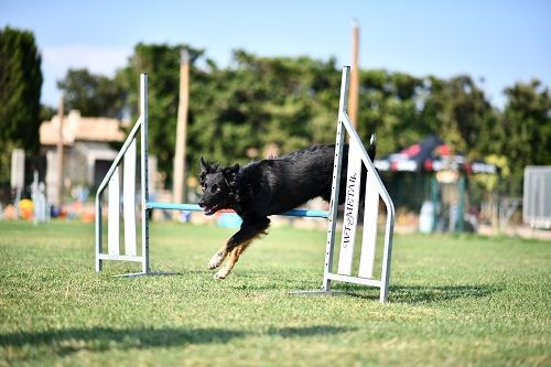 des Crocs de Provence - Rialp Jour 2