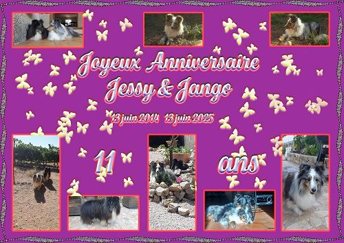 des Crocs de Provence - Joyeux Anniversaire