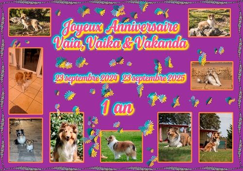 Joyeux Anniversaire