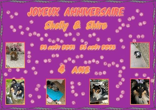 Joyeux Anniversaire