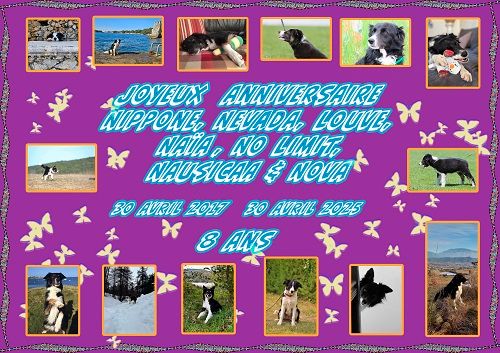 des Crocs de Provence - Joyeux Anniversaire