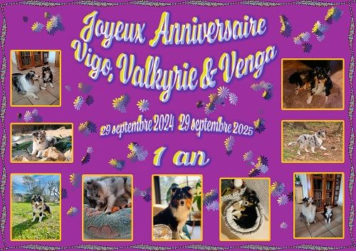 des Crocs de Provence - Joyeux Anniversaire