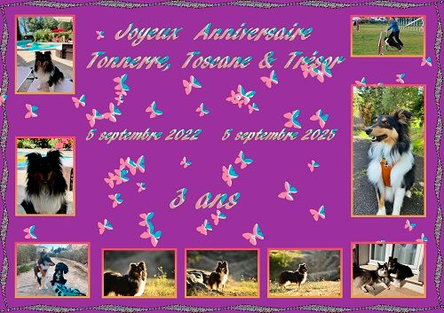 Joyeux Anniversaire