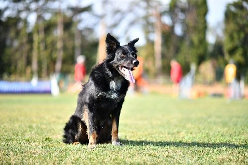 des Crocs de Provence - Rialp Jour 4