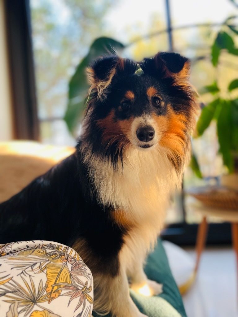 des Crocs de Provence - Des nouvelles de Venga