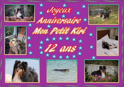 des Crocs de Provence - Joyeux Anniversaire