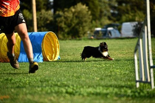 des Crocs de Provence - Rialp Jour 5