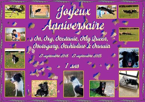 des Crocs de Provence - Joyeux Anniversaire