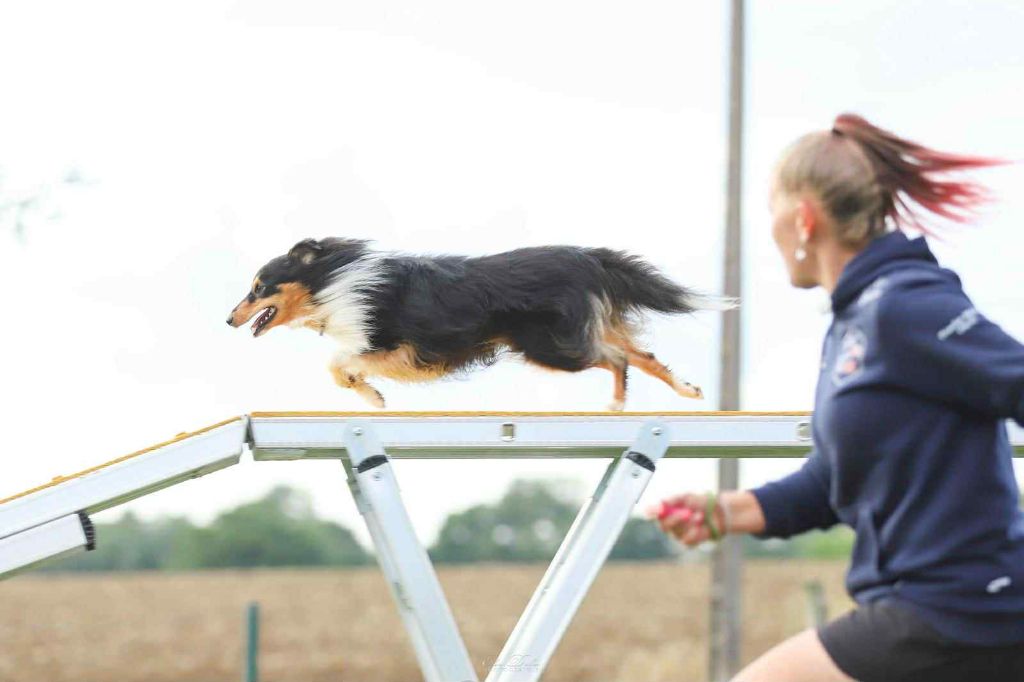 des Crocs de Provence - Erkan vainqueur de la Finale Médium ISAC 2025
