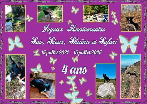 Joyeux Anniversaire