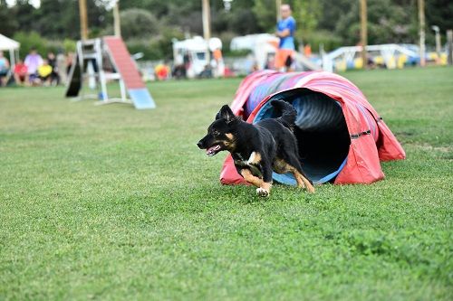 des Crocs de Provence - Crocs Lanta Cup J3