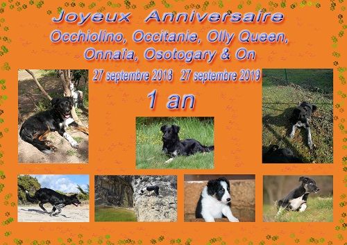 des Crocs de Provence - Joyeux Anniversaire
