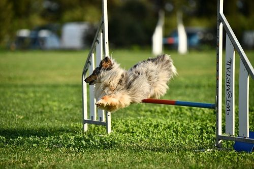 des Crocs de Provence - Crocs Lanta Cup J3