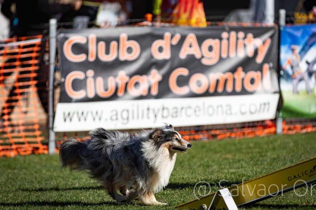 des Crocs de Provence - Légolas à la Rialp