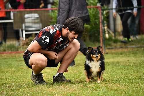 des Crocs de Provence - Concours d'agility de Roquefure