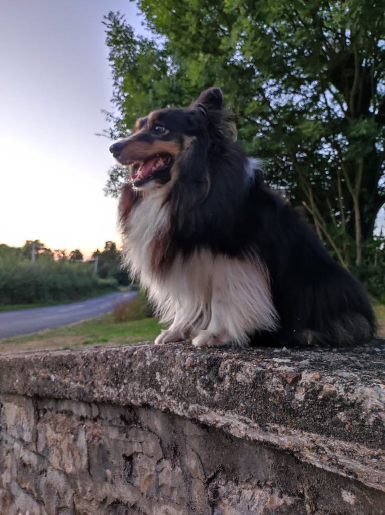 des Crocs de Provence - Des nouvelles de Roxane