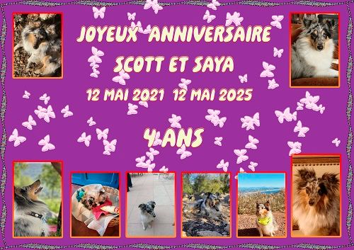 des Crocs de Provence - Joyeux Anniversaire