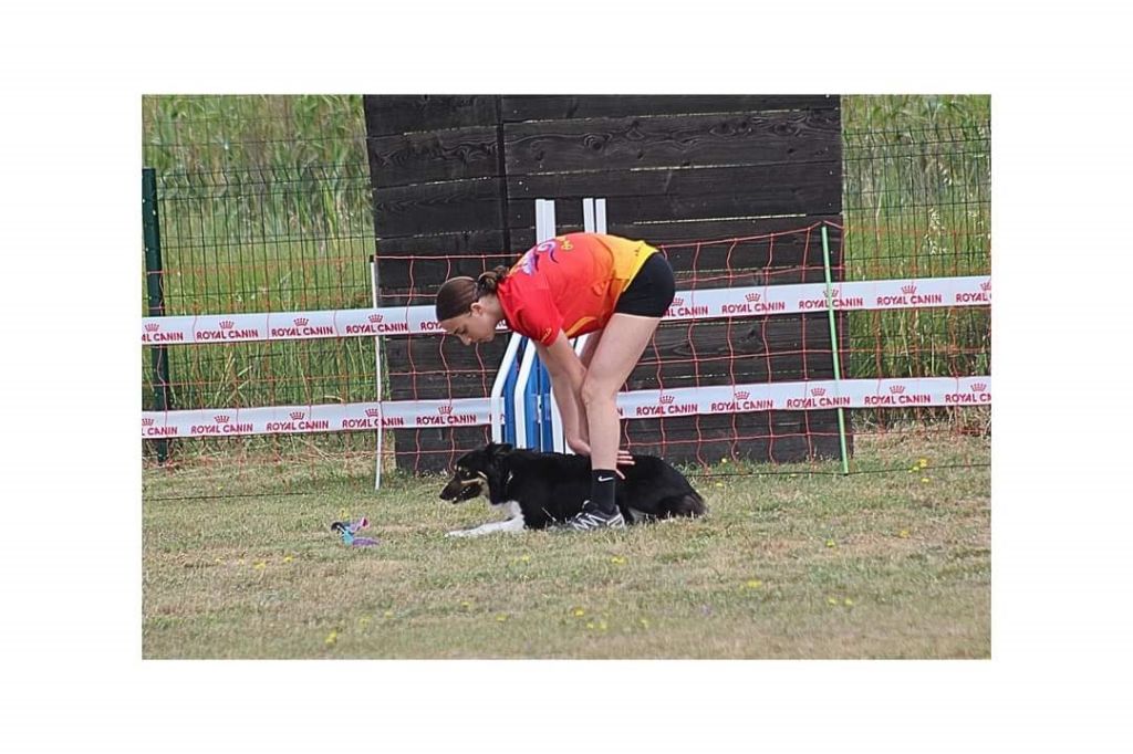 3 Crocs de Provence aux Championnats du monde Junior d'agility 2025