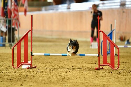 des Crocs de Provence - Rialp Jour 1