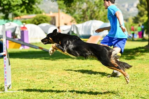 des Crocs de Provence - Yamato au sélectif trophée par équipe
