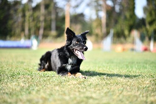 des Crocs de Provence - Rialp Jour 5